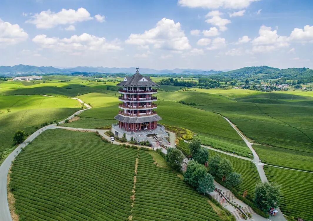 1786416437271427.jpg 微信图片_2026-08-11_104707_080.jpg