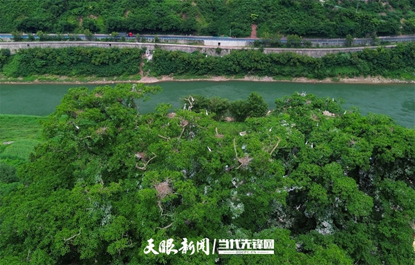 贵州:“五级河湖长制”十年答卷
