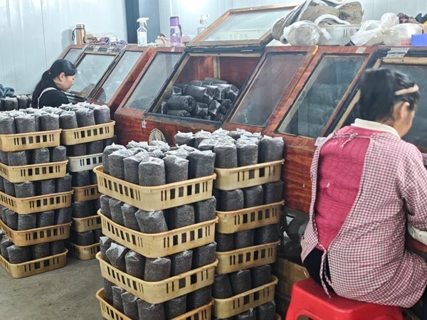 “黔韵她声·一线回响”走进施秉:苗绣、药材与菌菇,三条产业线上的巾帼接力
