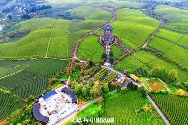 让农民生活更美好——贵州推进山地农业现代化助力乡村全面振兴